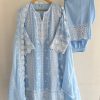 IMG_0602 Powder Blue Schiffli Chikan Suit Set with Embroidered Dupatta