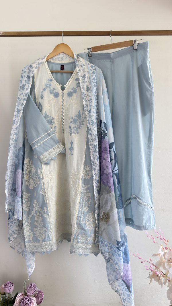 IMG_1073 Embroidered Cotton Suit